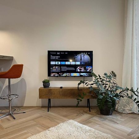Bel Appartement Au Centre Du Vieux Жуаньи Экстерьер фото
